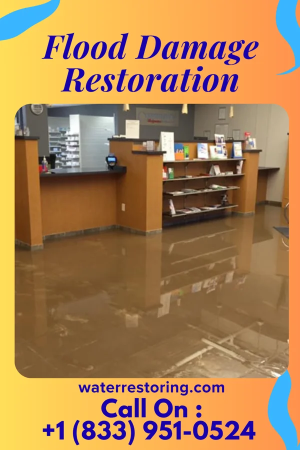 Flood Damage Restoration in Trent Woods, NC