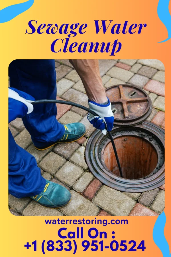 Sewage Water Cleanup in Trent Woods, NC